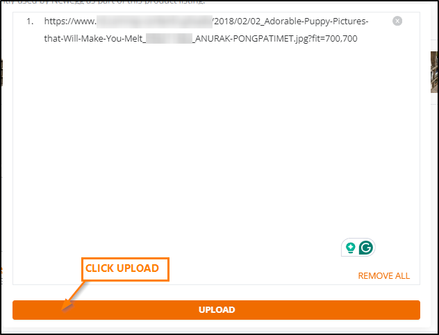 Adding an image from a URL